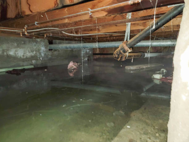  Seneca, IL Water damage restoration Pros