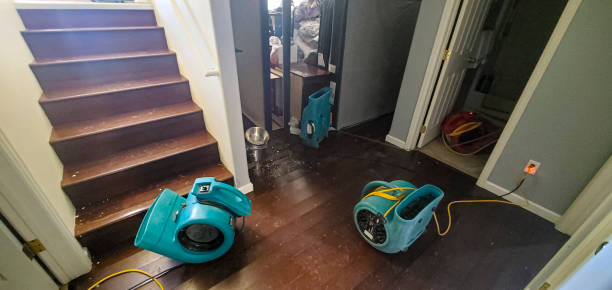 Best Flood restoration services  in Seneca, IL