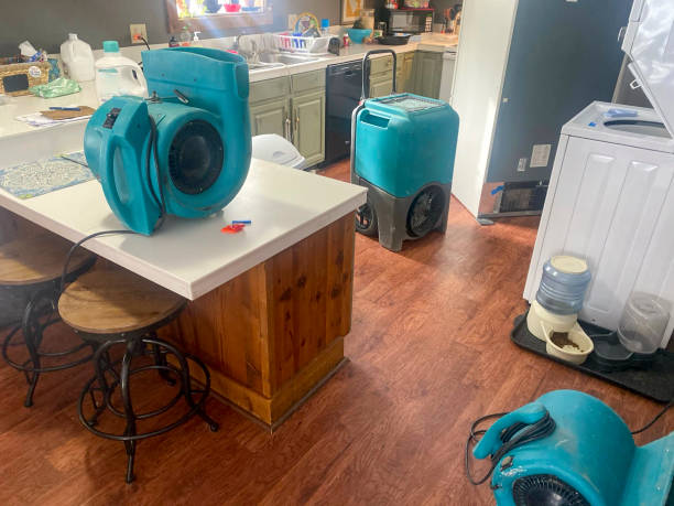 Sewage cleanup and water damage restoration in Seneca, IL