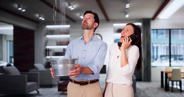 Best Water damage restoration near me  in Seneca, IL