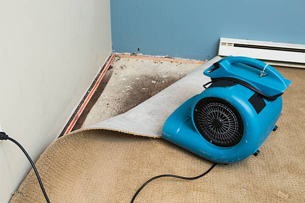 Best Emergency water damage restoration  in Seneca, IL